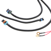 LS Swap Standalone Wiring Harness 97-04 LS1 Drive-By-Wire DBW 4L60E Trans US - Bull Boost Performance