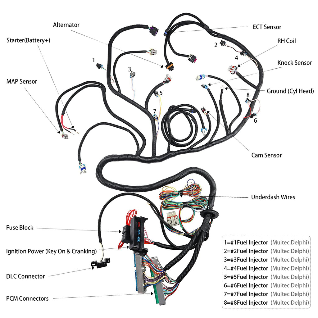 LS T56 DBW STANDALONE WIRING HARNESS or Non-Electric Tran 4.8 5.3 6.0 - Bull Boost Performance